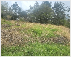  2025Ÿ��30742 �泲 ���ֽ� ������ �ݰ 429      ����(��1)���