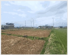  2025Ÿ��30771  ����