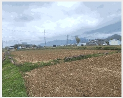  2025Ÿ��30771  ����