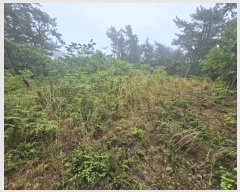  2025Ÿ��30812 �泲 ���ر� â���� ������ ��276-2      ����(�Ӿ�)���