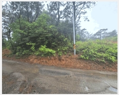  2025Ÿ��30812 �泲 ���ر� â���� ������ ��276-2      ����(�Ӿ�)���