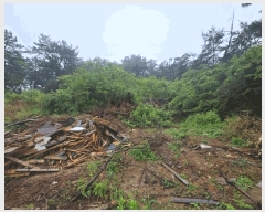  2025Ÿ��30812 �泲 ���ر� â���� ������ ��276-2      ����(�Ӿ�)���