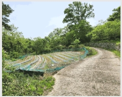  2025Ÿ��30817 �泲 ��û�� ���θ� ������ 1026      ����(��1)���