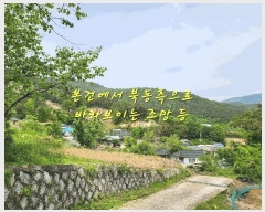  2025Ÿ��30817 �泲 ��û�� ���θ� ������ 1026      ����(��1)���