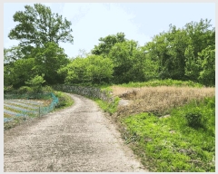  2025Ÿ��30817 �泲 ��û�� ���θ� ������ 1026      ����(��1)���