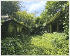  2025Ÿ��30823  ���ð��