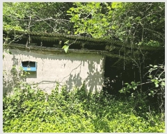  2025Ÿ��30823  ���ð��