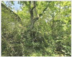  2025Ÿ��30823  ���ð��