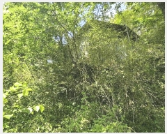  2025Ÿ��30823  ���ð��