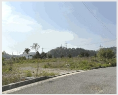  2025Ÿ��30835  �������