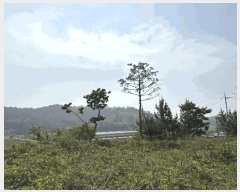  2025Ÿ��30835  �������