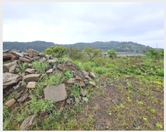  2025Ÿ��30835  �������