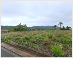  2025Ÿ��30835  �������