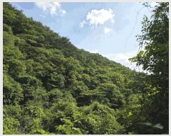  2025Ÿ��30865  �Ӿ߰��