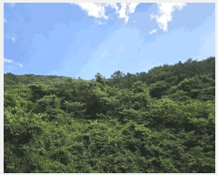  2025Ÿ��30865  �Ӿ߰��