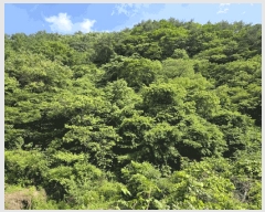  2025Ÿ��30865  �Ӿ߰��