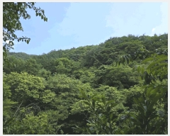  2025Ÿ��30865  �Ӿ߰��