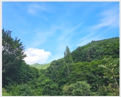  2025Ÿ��30865  �Ӿ߰��