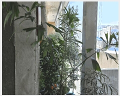  2025Ÿ��30894 �泲 ���ֽ� ������ 53       ��,�繫�ǰ��