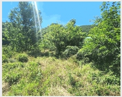  2025Ÿ��31061 �泲 ���ֽ� ��õ�� ��̸� 703-3      ����(��)���