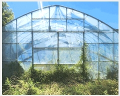  2025Ÿ��31061 �泲 ���ֽ� ��õ�� ��̸� 703-3      ����(��)���