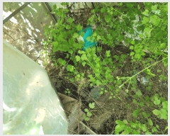  2025Ÿ��31061 �泲 ���ֽ� ��õ�� ��̸� 703-3      ����(��)���