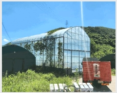  2025Ÿ��31061 �泲 ���ֽ� ��õ�� ��̸� 703-3      ����(��)���