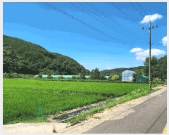  2025Ÿ��31061 �泲 ���ֽ� ��õ�� ��̸� 703-3      ����(��)���