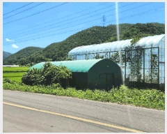  2025Ÿ��31061 �泲 ���ֽ� ��õ�� ��̸� 703-3      ����(��)���