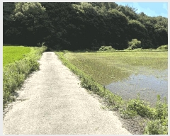  2025Ÿ��31071 �泲 ���ֽ� ����� ��õ�� 697-3      ����(��)���