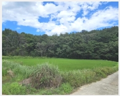  2025Ÿ��31071 �泲 ���ֽ� ����� ��õ�� 697-3      ����(��)���