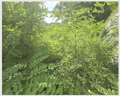  2025Ÿ��31090 �泲 ��õ�� ��õ�� �η��� ��32-7      ����(�Ӿ�)���