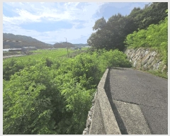  2025Ÿ��31090 �泲 ��õ�� ��õ�� �η��� ��32-7      ����(�Ӿ�)���