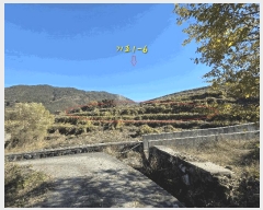  2025Ÿ��31379 �泲 ���ر� ���� ������ 1358      ����(��1)���