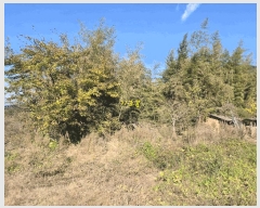 2025Ÿ��31379 �泲 ���ر� ���� ������ 1358      ����(��1)���