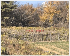  2025Ÿ��31379 �泲 ���ر� ���� ������ 1358      ����(��1)���