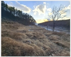  2025Ÿ��326  �����