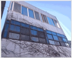  2025Ÿ463 泲 õ  156-25       ܵ,ð