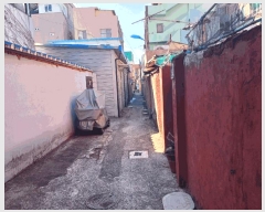  2025Ÿ463 泲 õ  156-25       ܵ,ð