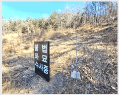  2025Ÿ��501  �Ӿ߰��