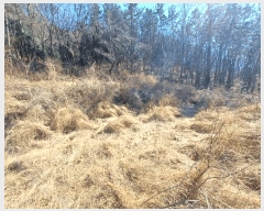  2025Ÿ��501  �Ӿ߰��