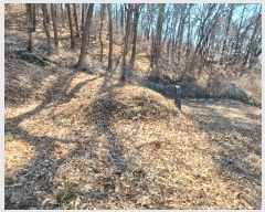  2025Ÿ��501  �Ӿ߰��