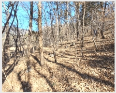  2025Ÿ��501  �Ӿ߰��