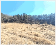  2025Ÿ��501  �Ӿ߰��