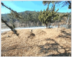  2025Ÿ��501  �Ӿ߰��