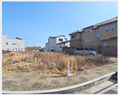  2025Ÿ516 泲 ֽ 湫 123-1       