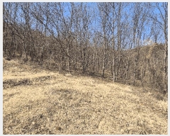  2025Ÿ��526 �泲 ��û�� �ܼ��� �Լ��� 579      ������