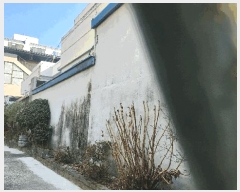  2025Ÿ��531  ���ð��