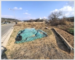  2025Ÿ��536 �泲 ��õ�� ������ ���� 648-11      ����(��1)���