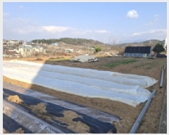  2025Ÿ��536 �泲 ��õ�� ������ ���� 648-11      ����(��1)���